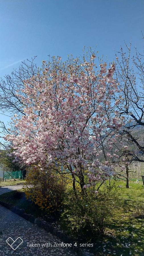 라군도 Unterdornerhof 아파트 호텔 외부 사진